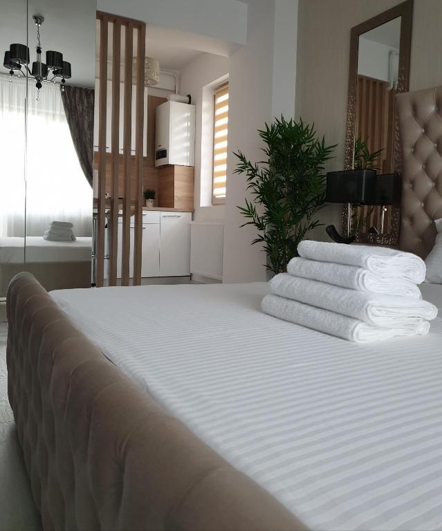 Studio Rendez-vous Baneasa - Studio Apartment