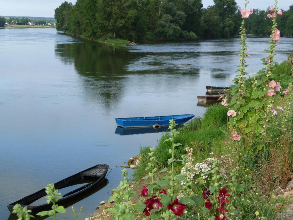 Výhled na řeku, která protéká v blízkosti bed and breakfast
