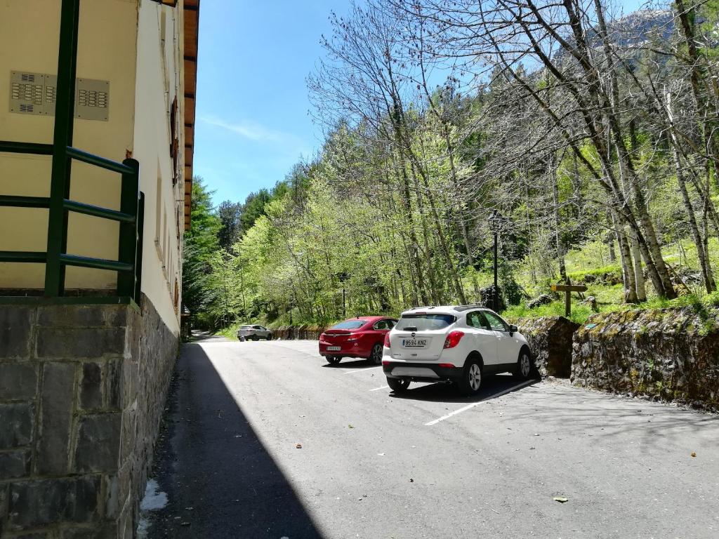 Příroda nedaleko apartmánu