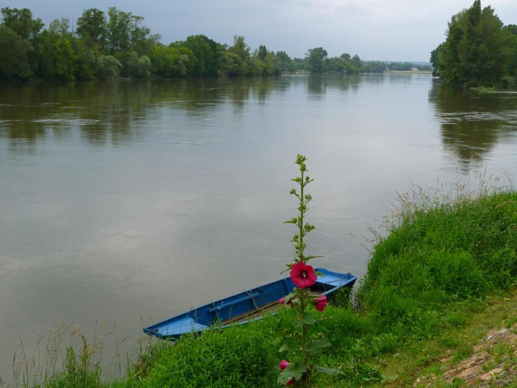 Výhled na řeku, která protéká v blízkosti bed and breakfast