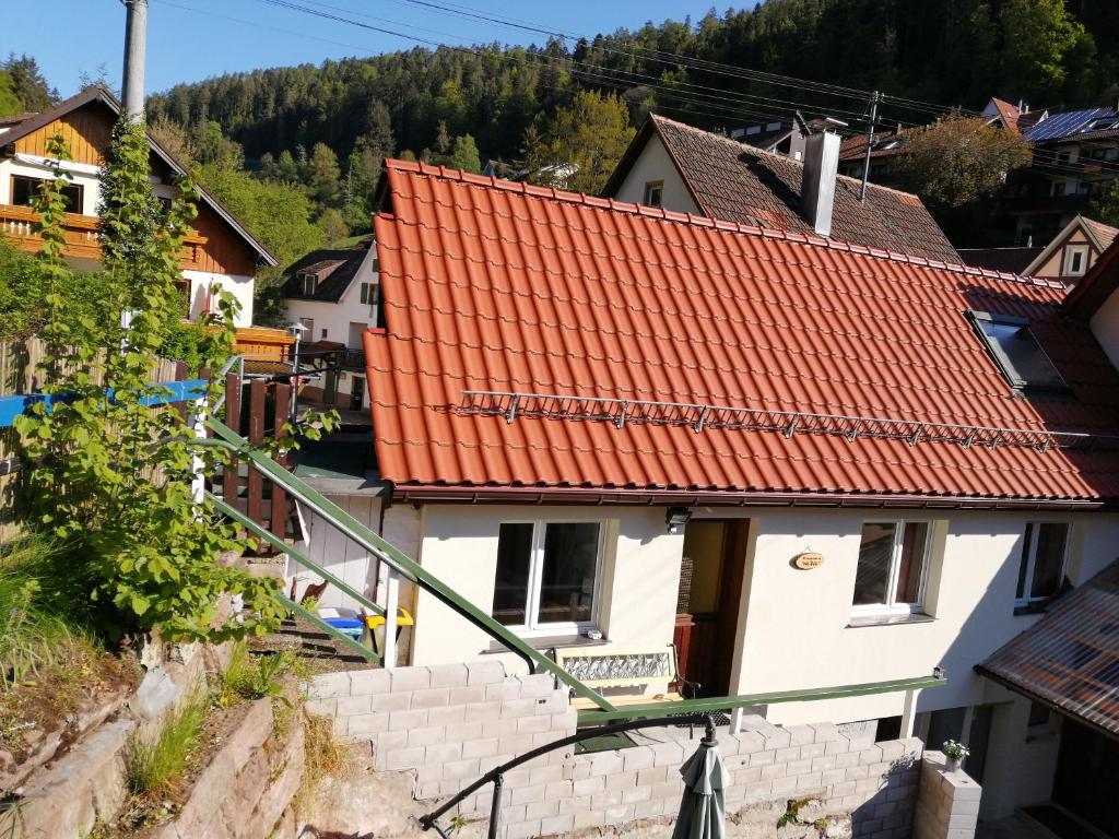 Příroda nedaleko prázdninového domu