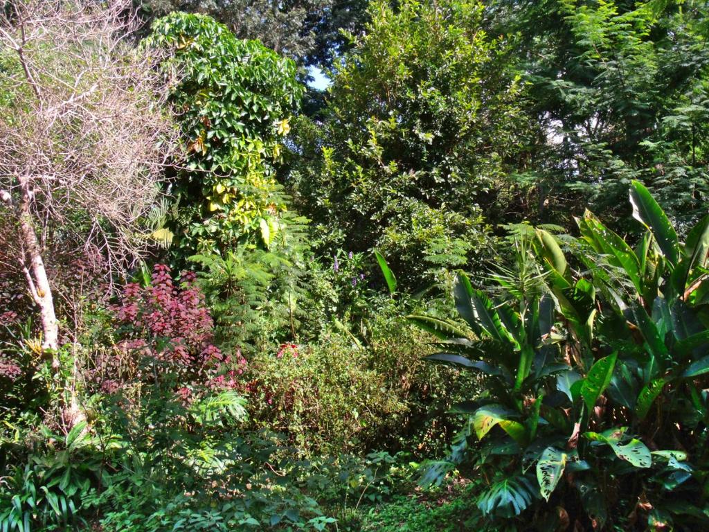  Hotel Curitiba Campo Comprido