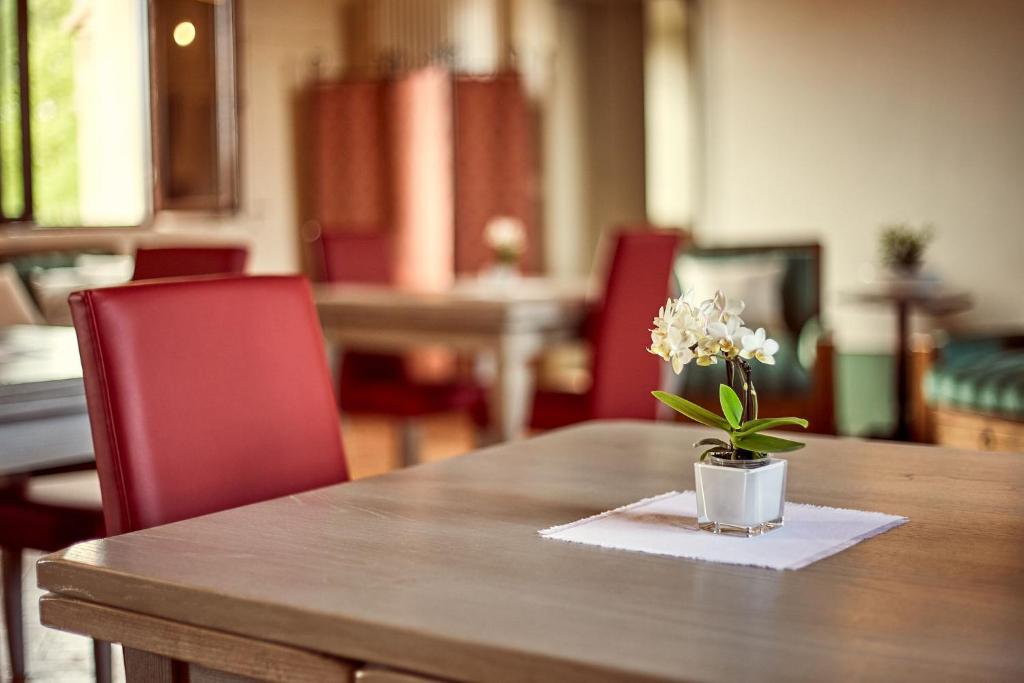 Il Mastio di Spedaletto - 19