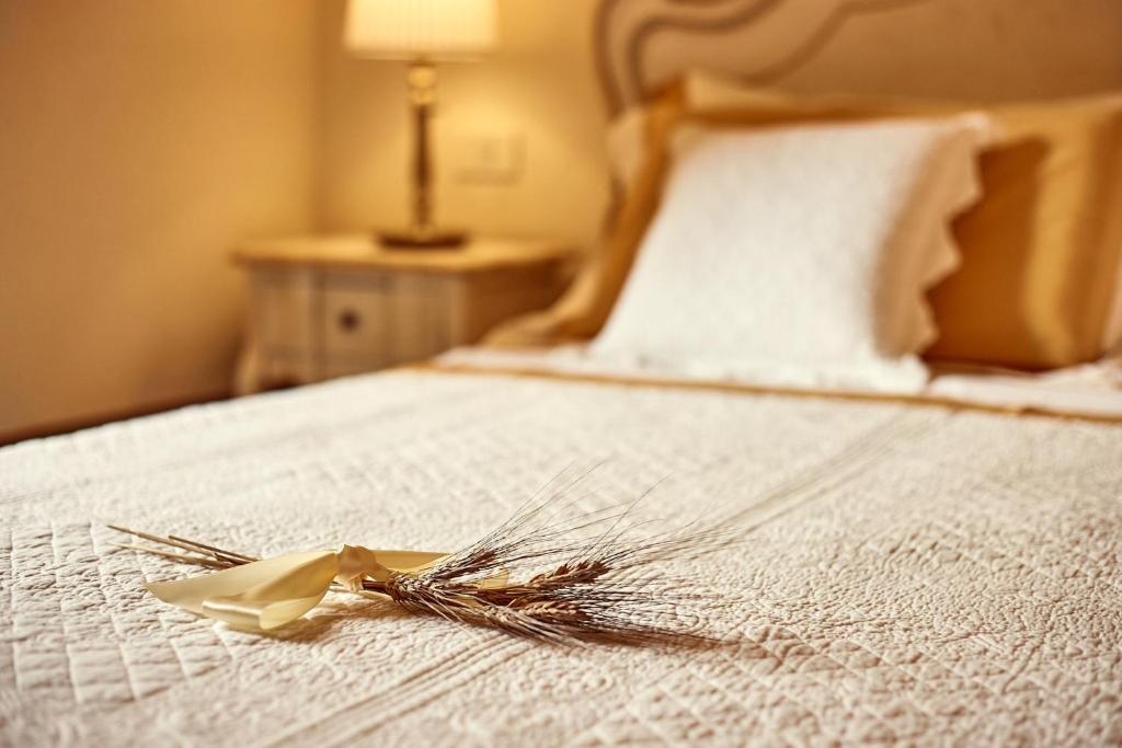 Il Mastio di Spedaletto - 4