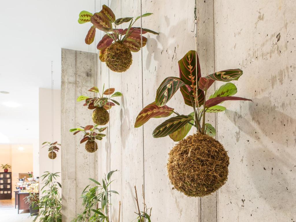 EA Embassy Prague Hotel - Resim 38