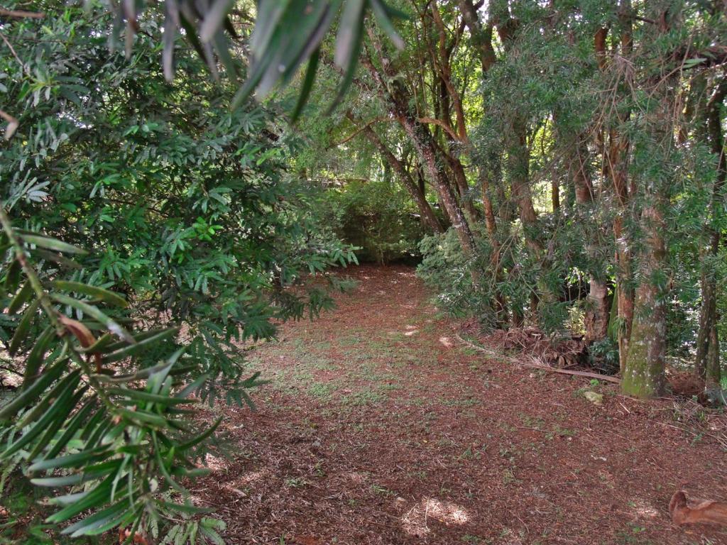  Hotel Curitiba Campo Comprido