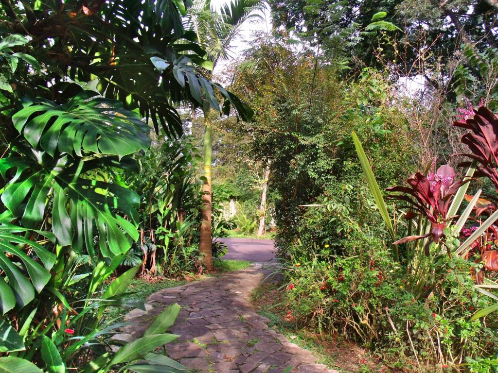  Hotel Curitiba Campo Comprido