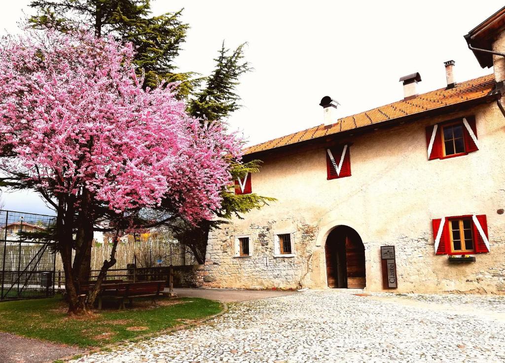 a tree with pink flowers in front of a building at Agritur Ciastel in Sanzeno