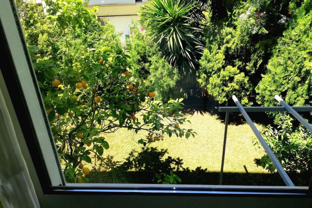 Vonkajšia záhrada v ubytovaní Lefkada SunCentral Apartments