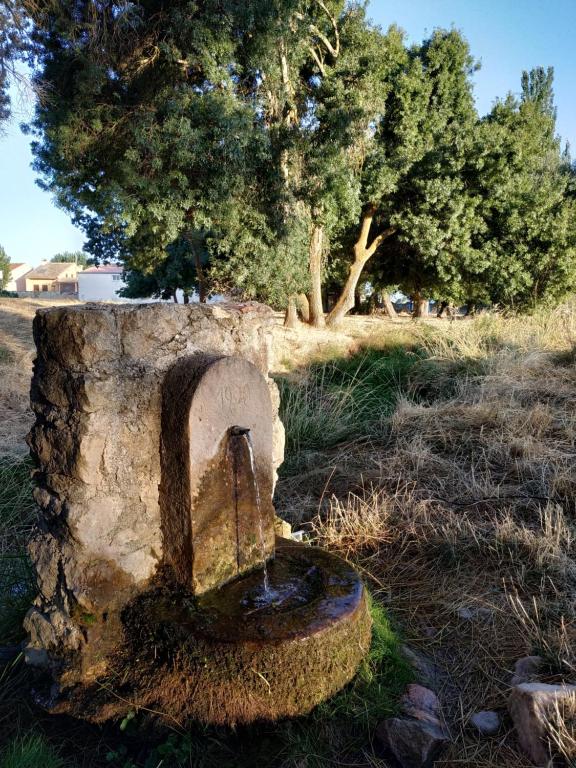 Fotografia z galérie ubytovania La Fresneda de Polendos v destinácii Cabañas de Polendos