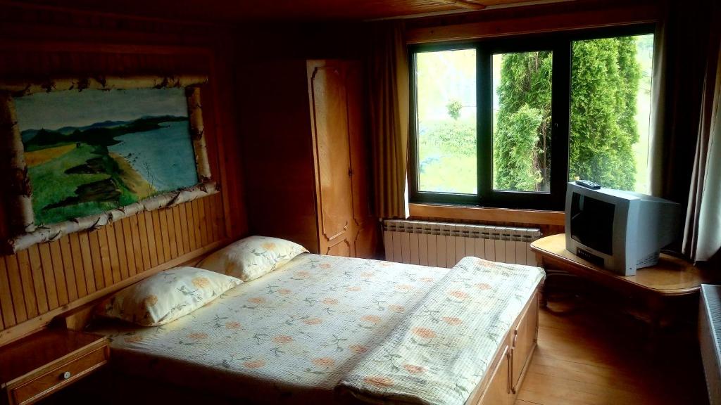 pensiunea Gabriela - Salle Familiale Avec Vue Sur La Montagne