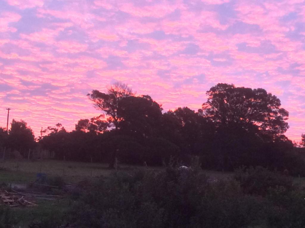 a pink sky with trees in a field at BARE NECESSITIES, NUDIST ONLY VENUE Naturist, clothes free in Swellendam