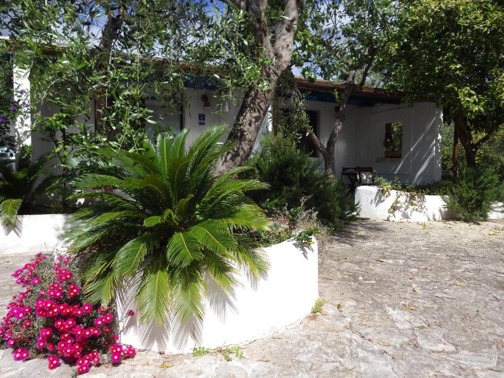 Zahrada ubytování B&B Masseria Liberatore