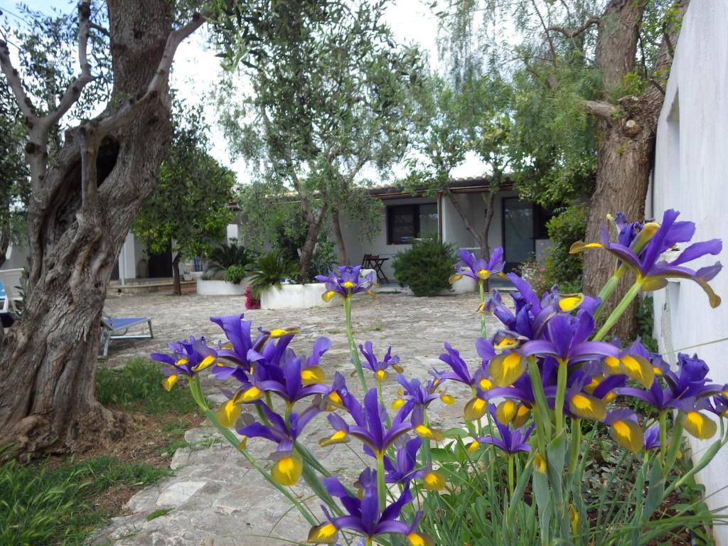Zahrada ubytování B&B Masseria Liberatore