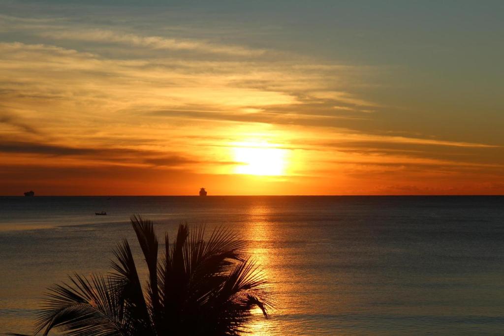 una puesta de sol sobre el océano con una palmera en el primer plano en Apartamento com Vista, en Balneário Camboriú