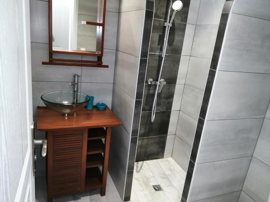 a bathroom with a sink and a shower at La forge in Saint-Palais-sur-Mer