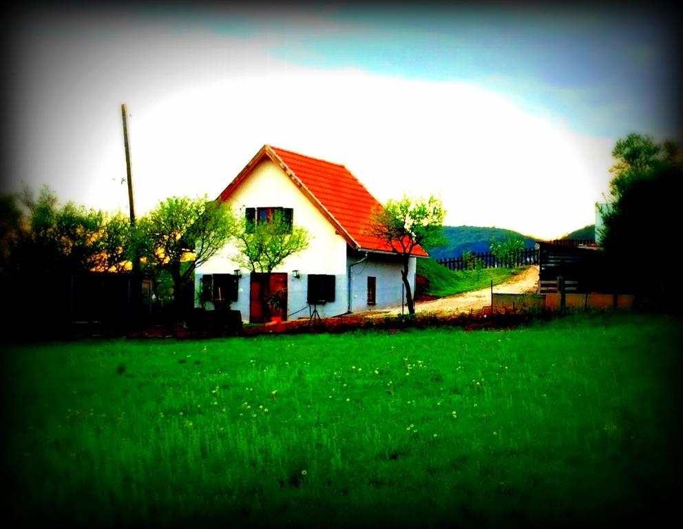 a house with a red roof in a green field at Julianna Nyaraló in Csopak