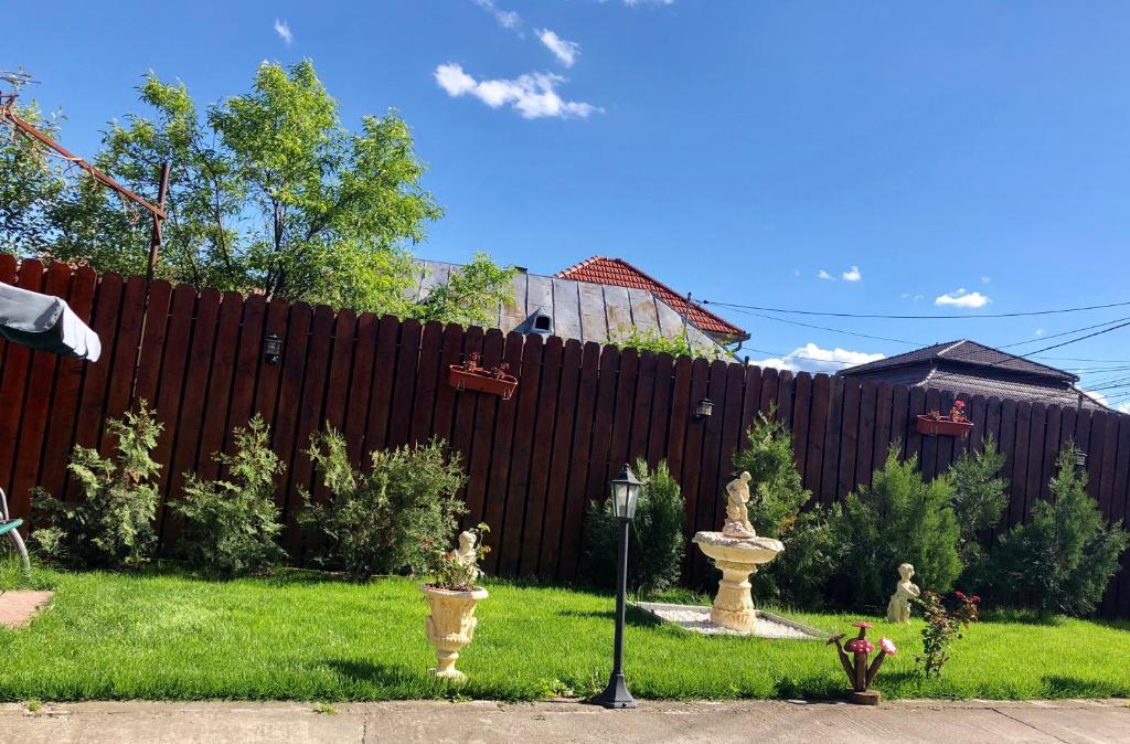 a yard with a fence and a fountain in the grass at Casa Alexia in Haţeg