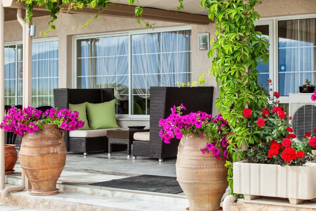 Zahrada ubytování Amfion Hotel