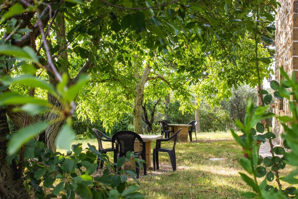 Vonkajšia záhrada v ubytovaní Podere Le Chiuse
