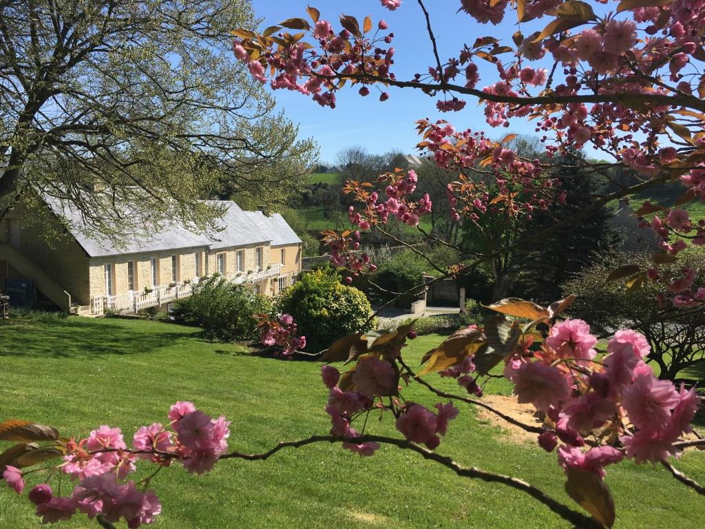 vista su una casa con fiori rosa in un cortile di Le Clos Saint Jean a Sainte-Honorine-des-Pertes