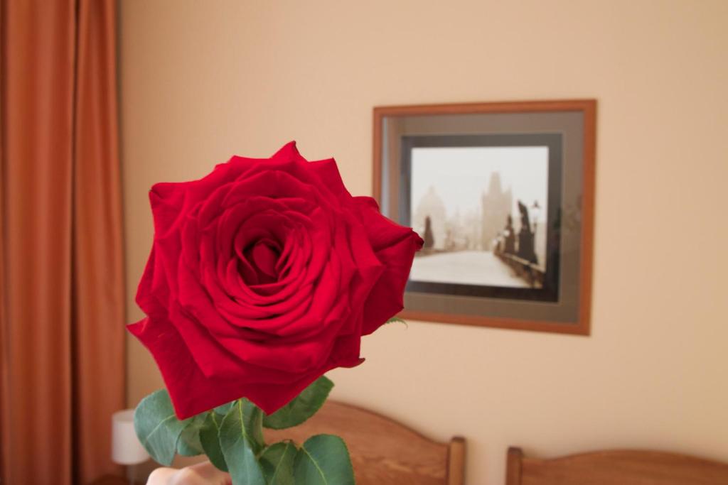 Hotel Karlin - Resim 24