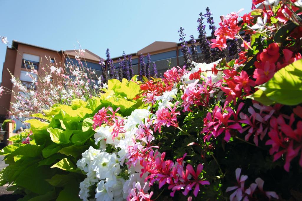 Un bouquet de fleurs devant un bâtiment dans l'établissement LES TERRASSES DE BORDA***, à Dax