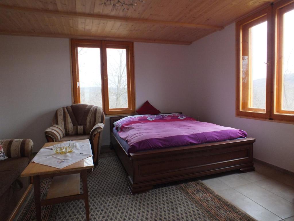 Müllers Ferienhaus Weinbergalm 7228 Döbrököz, Weinberg Döbrököz kép - 1