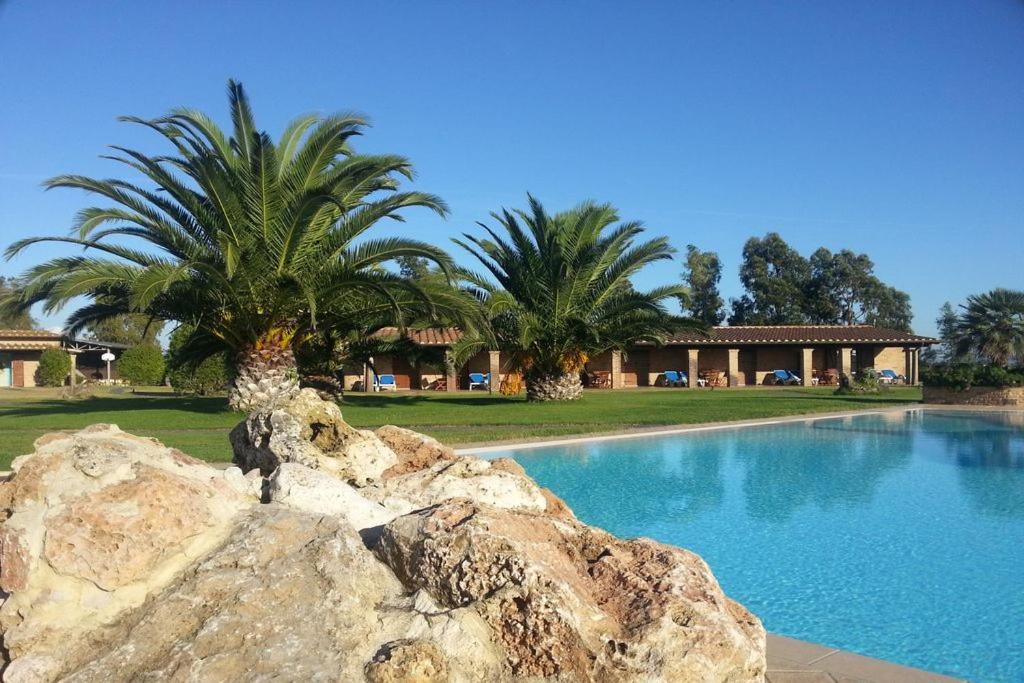 una gran roca frente a una piscina con palmeras en Tenuta dei Principi en Marina di Grosseto