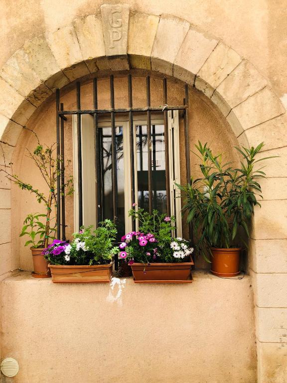 a window with potted plants on the side of a building at Sous le Clocher in Marseille