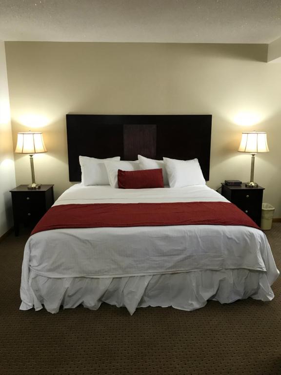 Brentwood Motor Inn - Estudio Con Cama Grande