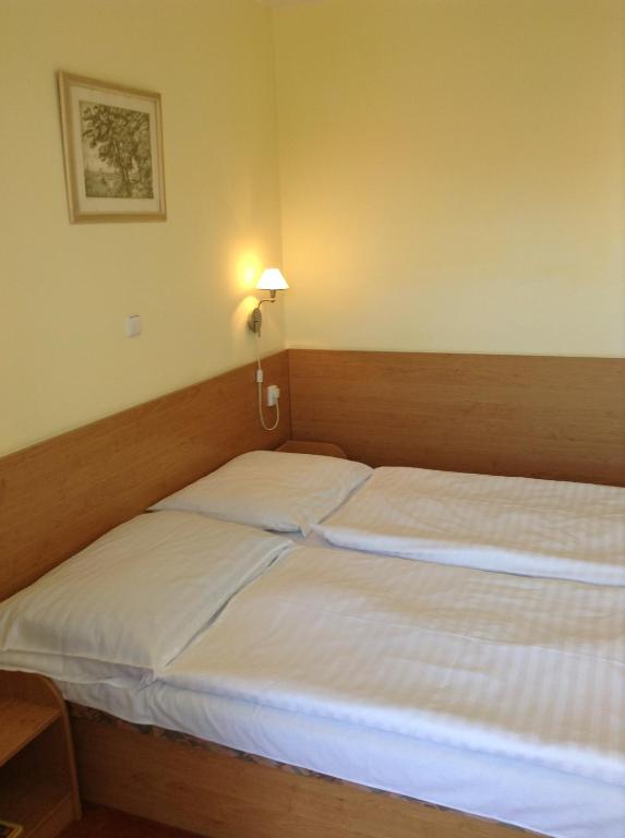 Postel nebo postele na pokoji v ubytování Hotel YORK