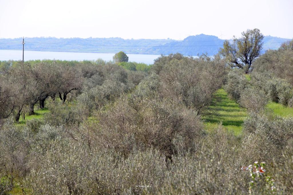 Il Casale degli Ulivi - Habitación Doble Con Vista Al Lago