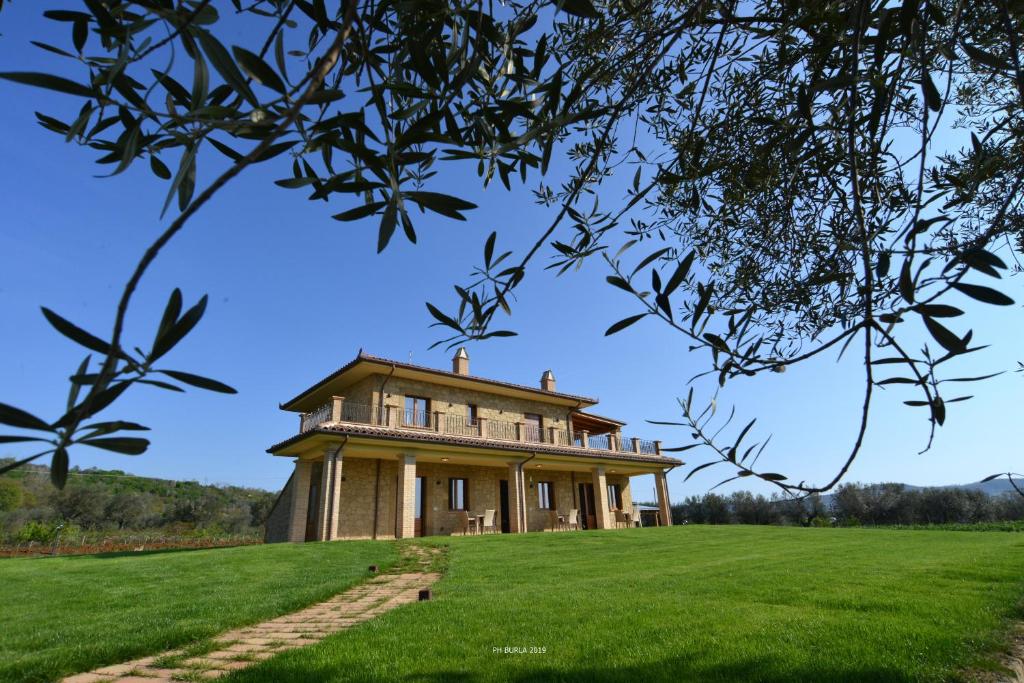 a house on top of a grassy field at Il Casale degli Ulivi in Gradoli