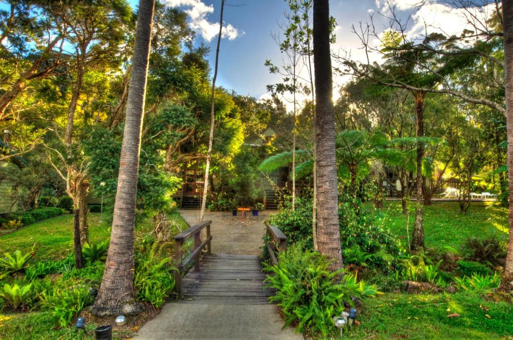a path in a park with palm trees at Broken River Mountain Resort in Eungella
