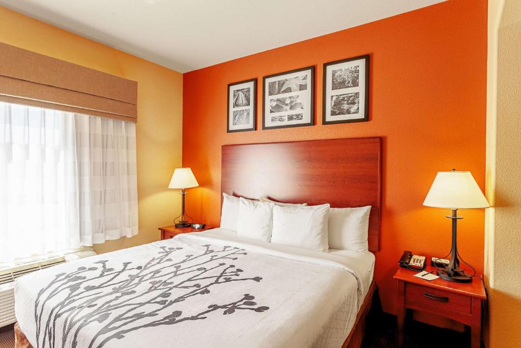 Postel nebo postele na pokoji v ubytování Sleep Inn & Suites Tyler South