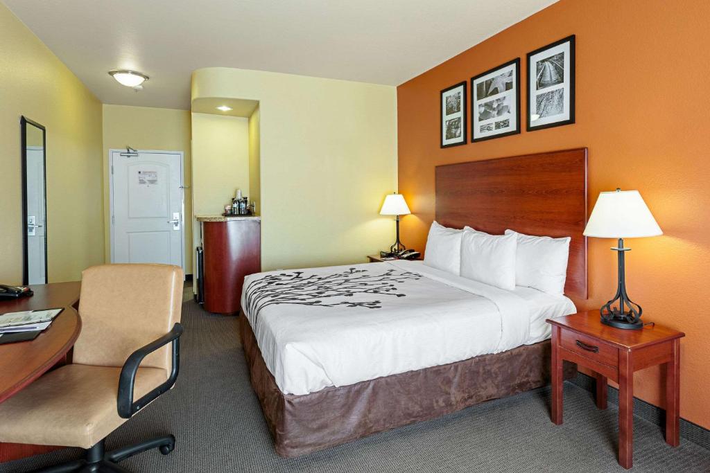 Postel nebo postele na pokoji v ubytování Sleep Inn & Suites Tyler South