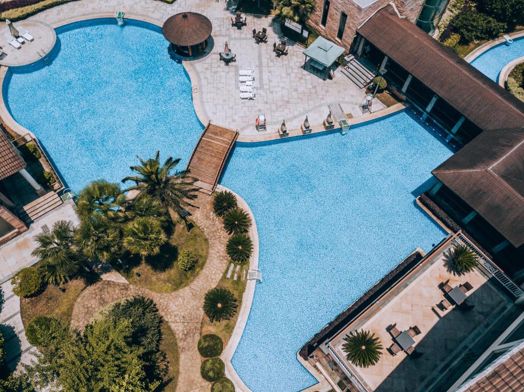 an overhead view of a large swimming pool with palm trees at Pullman Zhangjiajie Hotel - Instagrammable in Zhangjiajie