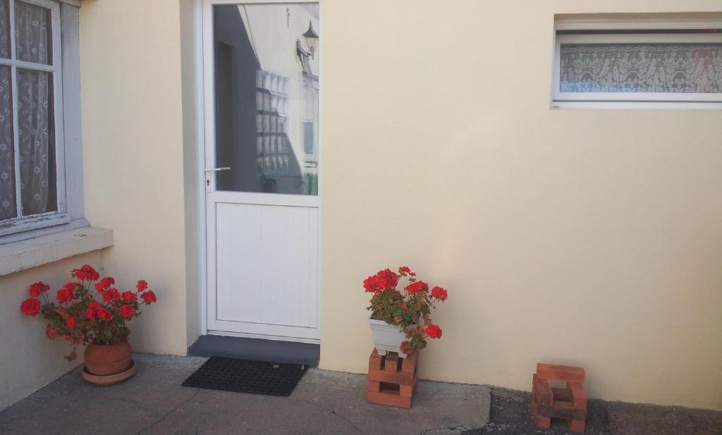 a door with two plants and flowers next to a building at pasteur in Cholet