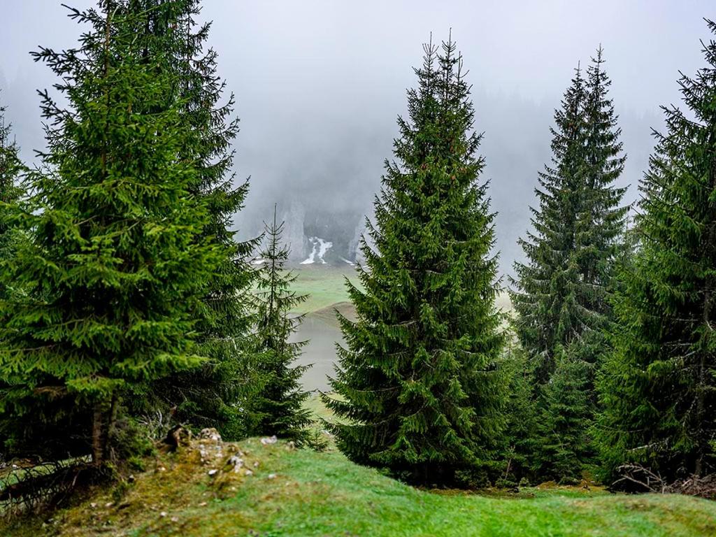 Fotografie z fotogalerie ubytování La 5 casute v destinaci Padis