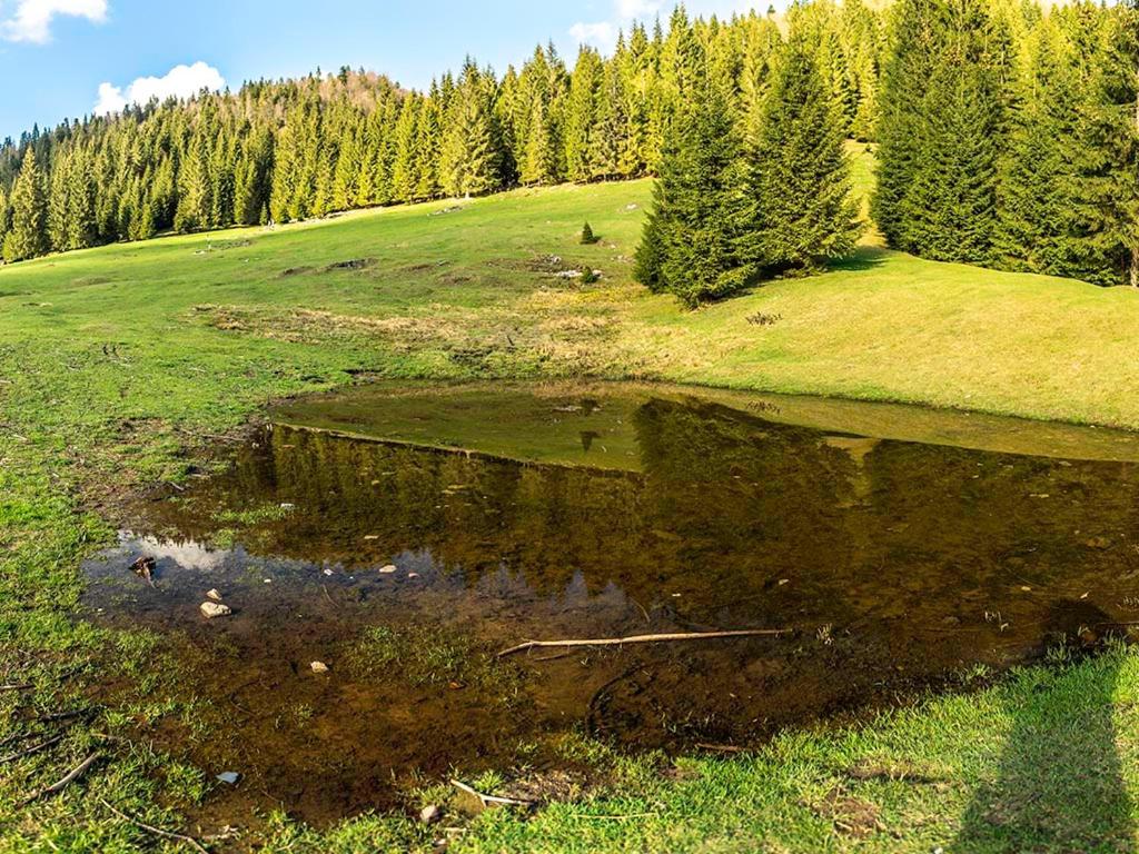 Fotografie z fotogalerie ubytování La 5 casute v destinaci Padis