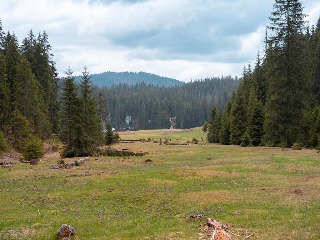 Fotografie z fotogalerie ubytování La 5 casute v destinaci Padis