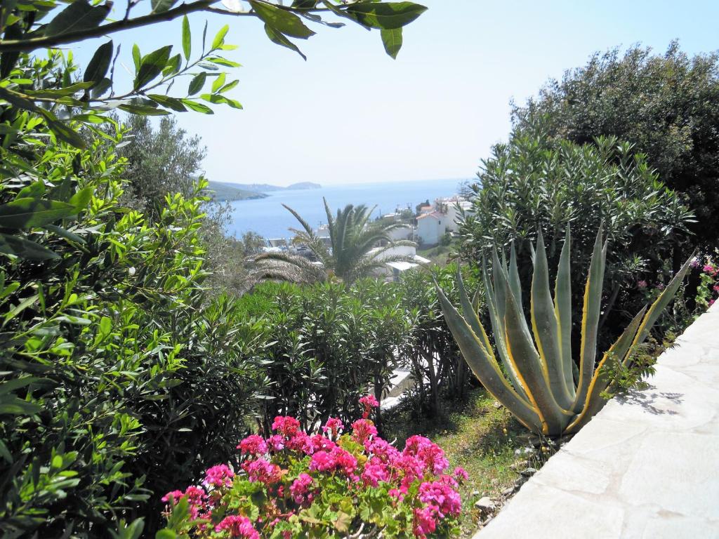 a garden with pink flowers and a cactus at Blue Dolphin in Batsi