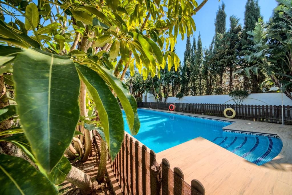 a swimming pool with a wooden fence and trees at Hacienda Roche Viejo in Conil de la Frontera