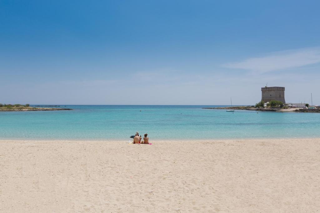 Táj Show holiday homes közelében