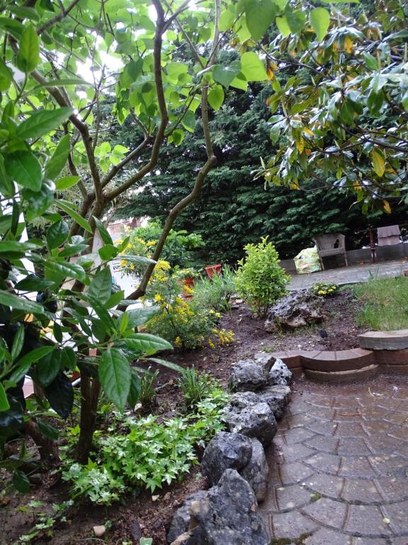 Zahrada ubytování Villa Biancofiore
