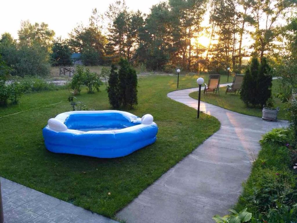 un barco inflable azul en la hierba en un parque en Дом в лесу на берегу Днепра для отдыха, аппартоменты, en Budishche