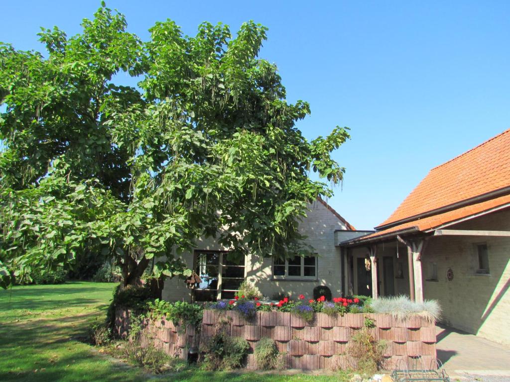 uma árvore em frente a uma casa com uma parede de tijolos em Terre de Lumière em Maldegem