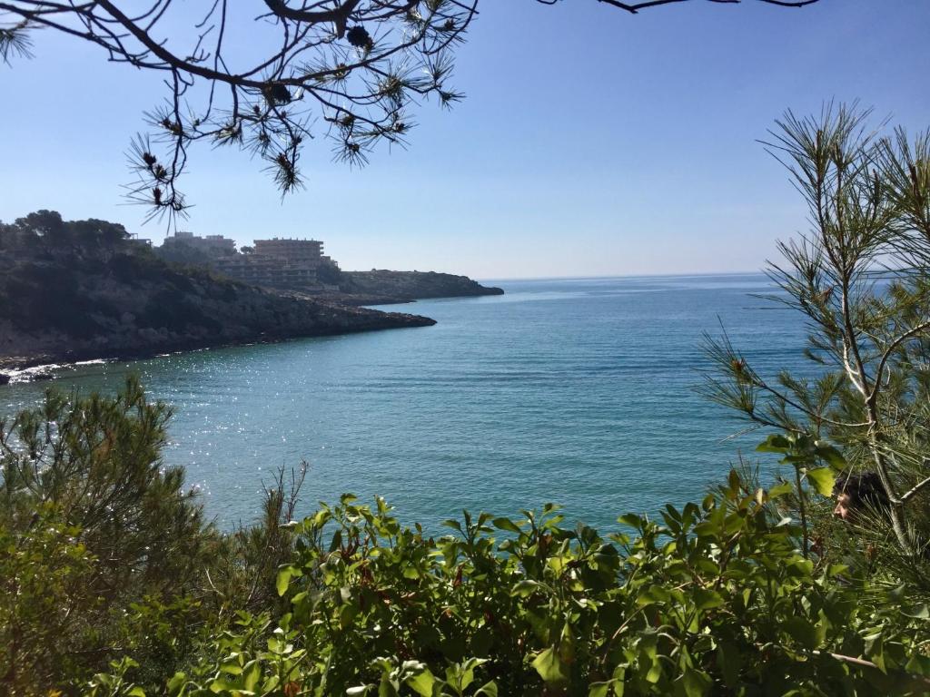 Fotografie z fotogalerie ubytování Synergie SI02 - CYE v destinaci Salou