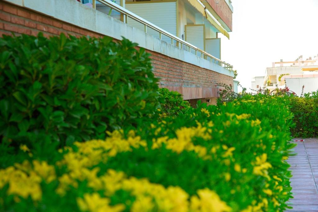 Vonkajšia záhrada v ubytovaní Apartament with sea view